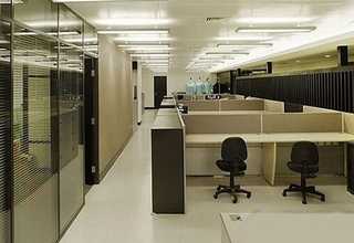 浙江珍珠米生产厂家