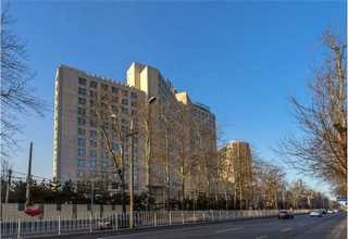 深圳桥梁隔震优化