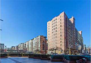 青浦区树苗服务电话